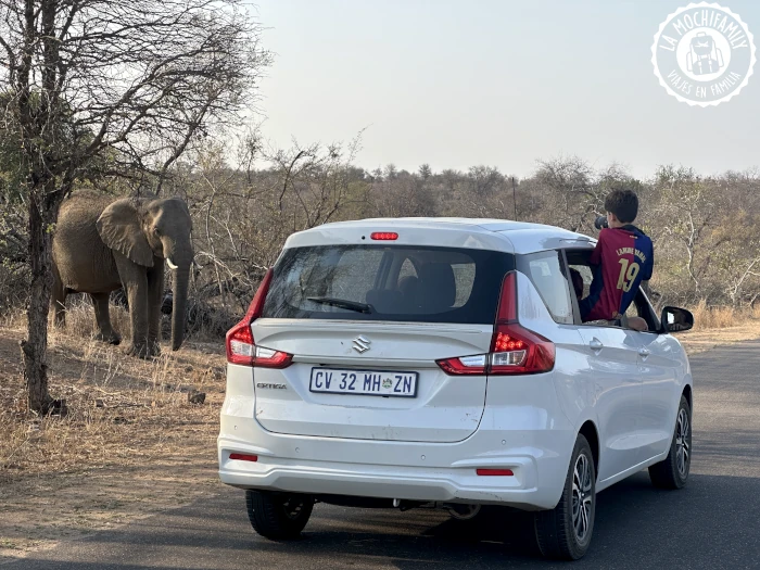 Coche de alquiler en Sudáfrica durante un road trip con un elefante al lado de la carretera